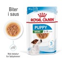 Royal Canin Mini Puppy Våtfôr for små valper 12 x 85 g