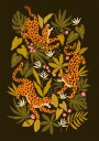 Leopards or jaguars with tropical leaves and plants on dark black background Plakat Plakat / 21x30cm