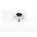 HITACHI 130557 Dynamoregulator