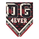 Dolce & Gabbana Herre Accessories Flerfarget ONE SIZE,