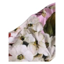 Dolce & Gabbana Dame Svømmetøy Flerfarget M,
