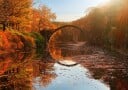 Autumn lake Poster Plakat / 30x40cm