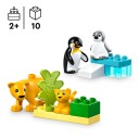 LEGO DUPLO Town 10442 Villdyrfamilier: Pingviner og løver