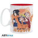 Naruto Kopp Past and Present