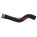 BOGAP A4228461 Radiatorslange