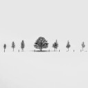 Together Alone Plakat Plakat / 70x70cm