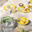 Hadeland Glassverk Sommereng Mugge 75cl