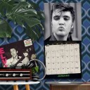 Danilo ELVIS 2027 COLLECTOR'S EDITION RECORD SLEEVE Kalender 79961083