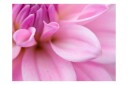 Fototapet Blomsterblad Dahlia 300x231 - Artgeist sp. z o. o.