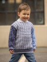 0010 6a Sval genser