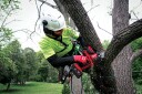 Milwaukee M18 Ph20-0 Grensag Enhet