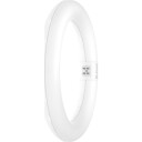 Ledvance Value T9 rundt lysrør 11W 6500K white 212 mm x 30 mm