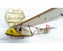 Special Hobby 1/48 SG-38 "German and Slovakian Service"
