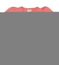Creamie T Shirt Ss 2 Pack Pink 128