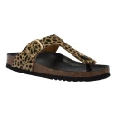 Scholl Dame Sko Brun 41 EU,