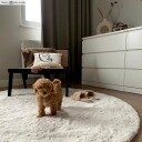 Runde tepper   Cloud Super Soft offwhite Størrelse: Ø 240 cm