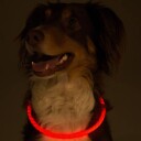 L-XL MAX Flashband LED-ring til hund (62 cm)