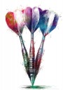Vibrant Dart Game Plakat / 40x50