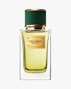 Dolce & Gabbana Velvet Vetiver Eau De Parfum 100 ml