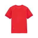 Puma teamGOAL Matchday Jersey treningstrøye junior Red 164