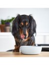 District70 Bamboo Dog Bowl Large Ice Blue (871720261401)