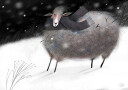 Sheep Plakat Plakat / 70x100cm