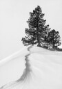 About the snow and forms Poster Plakat / 50x70cm