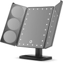 Gillian Jones Hollywood panel mirror with powerful