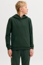 Jack & Jones Junior   Hettegenser jjeBradley Sweat Hood Noos   Blå