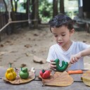 PLANTOYS Deforme Frugter og Grøntsager