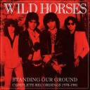 Wild Horses  Standing Our Ground: Complete Recordings 19781981  CD