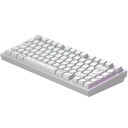 Dark Project Alu81 Gaming Tastatur Rgb Terra Nova G3ms Moonstone Hvit
