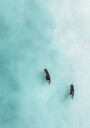 Tranquil Boats Ocean Aerial Plakat Plakat / 21x30cm