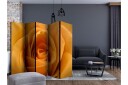 Romdeler - Yellow rose II 225x1 - Artgeist sp. z o. o.