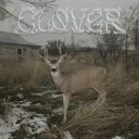 Sleeper's Bell  Clover  Kassett