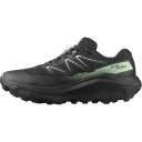 Salomon Ultra Flow 2 GTX Herre Black/Black/Patina Green 42