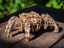 Ugears 3D-puslespill i tre  Hexapod Explorer