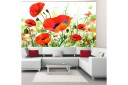 Fototapet Country Poppies 250x193 - Artgeist sp. z o. o.