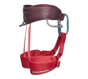 Black Diamond Momentum Harness - Kids' Wild Rose