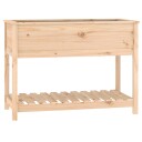 vidaXL Plantekasse med hylle 111,5x54x81 cm heltre furu