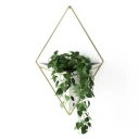 Umbra Trigg vegghengte blomsterpotter 2 stk hvit messing