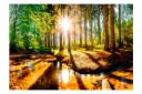 Fototapet Marvelous Forest 300x210 - Artgeist sp. z o. o.