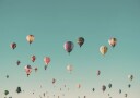 Hot Air Balloons Plakat Plakat / 50x70cm