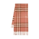 Burberry Dame Accessories Brun ONE SIZE,