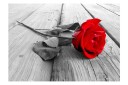 Fototapet Abandoned Rose 150x105 - Finnes i flere størrelser