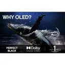 LG OLED77G5 77" 4K OLED evo Smart TV med α11 AI-prosessor