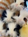 Hansa Creation Black and White Guinea Pig Plush