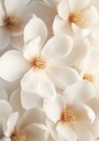Tender Magnolia No.1  Plakat Plakat / 21x30cm