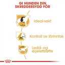 Royal Canin Beagle Adult Tørrfôr 12 kg for Voksne Hunder - Sunt Kosthold for Mage & Fordøyelse