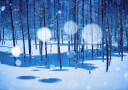 Fairyland Plakat Plakat / 30x40cm